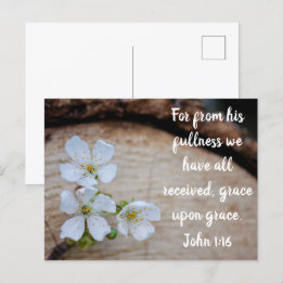 John 1:16 Vild Cherry Flowers Postcard Vykort