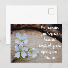 John 1:16 Vild Cherry Flowers Postcard Vykort