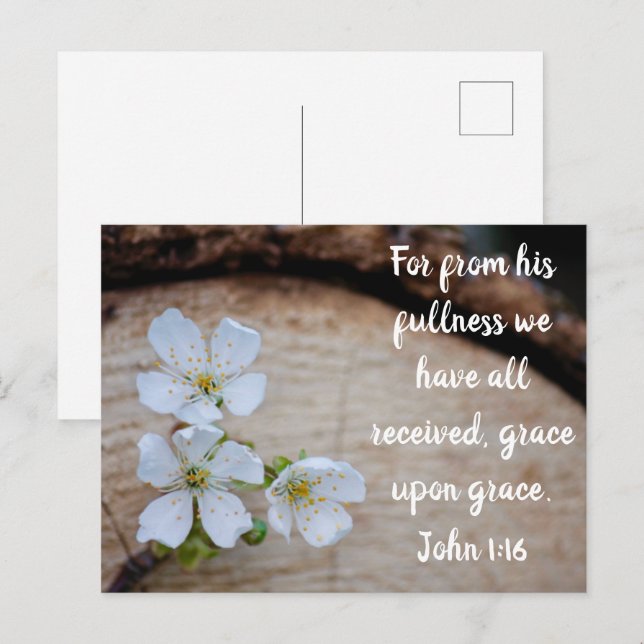 John 1:16 Vild Cherry Flowers Postcard Vykort (Fram/baksida)