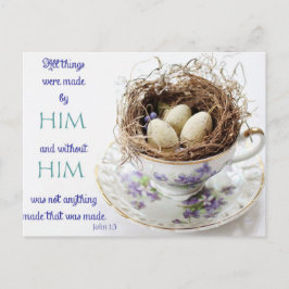 John 1:3 PW-kort (Scripture Bird Nest Postcard) Vykort