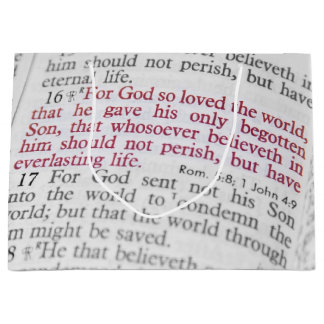 John 3:16