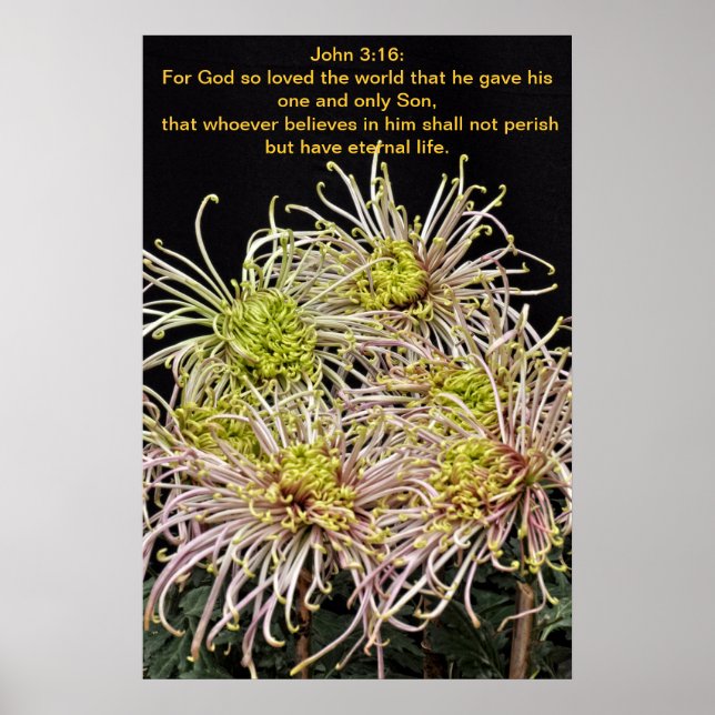 John 3:16 För Gud så älskad världen Poster (Framsidan)