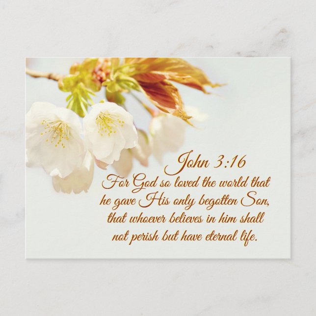 John 3:16 Gud så älskade världen, Scripture Vykort (Framsida)