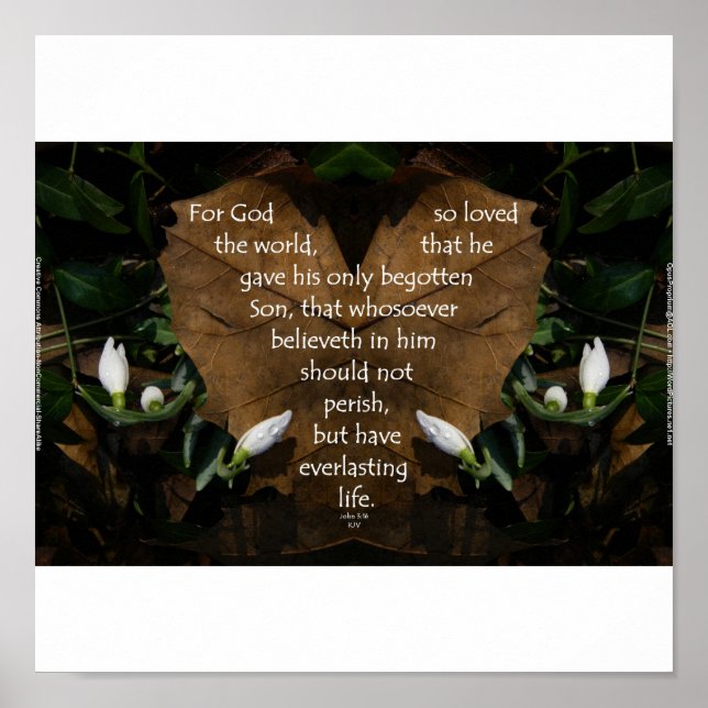 John 3:16 Kung James basportfölj poster (Framsidan)