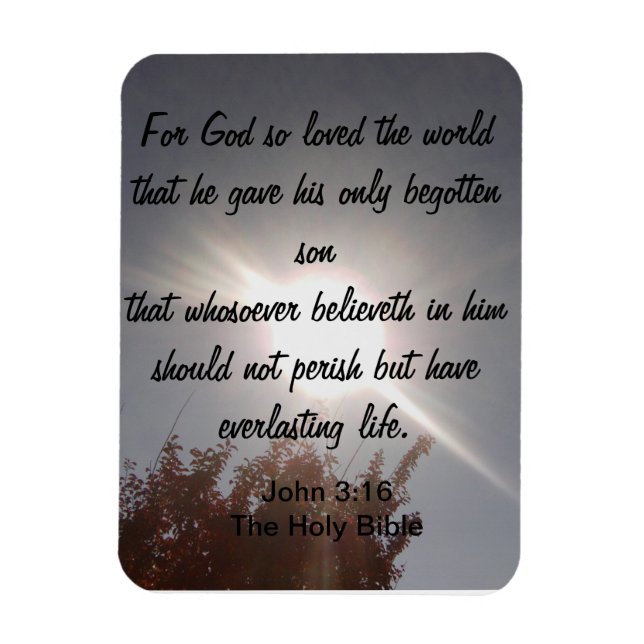 John 3:16 Magnet (Vertikal)
