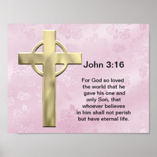 John 3:16 (rosa) poster