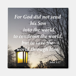 John 3:17 magnet