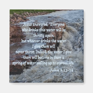 John 4:13 - 14 magnet