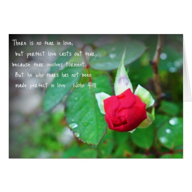 John 4:18 OBS kort (Framsidan Horizontal)