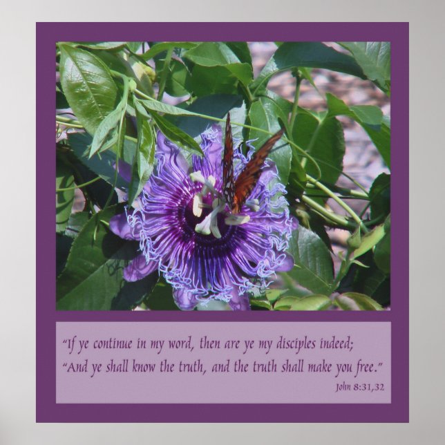 John 8:31, 32 Scripture Poster (Framsidan)