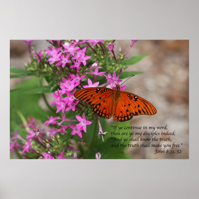 John 8:31 & 32 Scripture Poster (Framsidan)