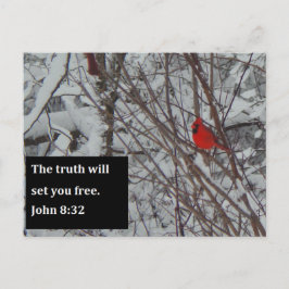 John 8:32 Skriptkort Vykort