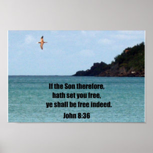 John 8:36 poster