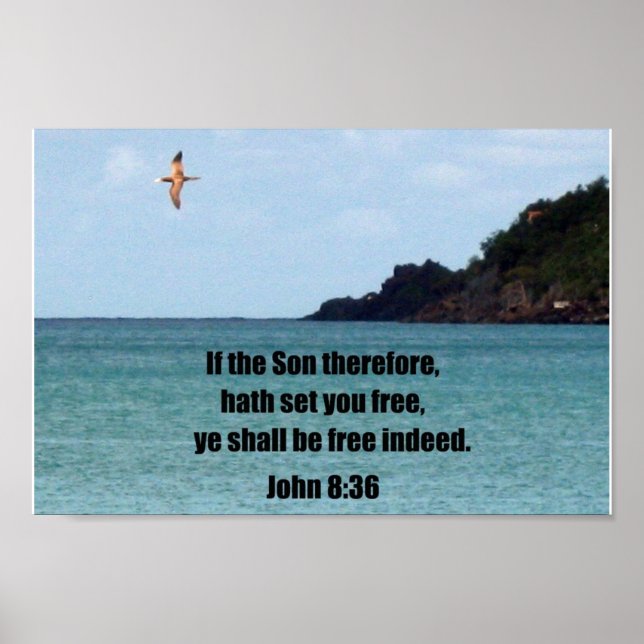 John 8:36 poster (Framsidan)