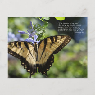 John 8 Gult Swallowtail Butterfly Vykort