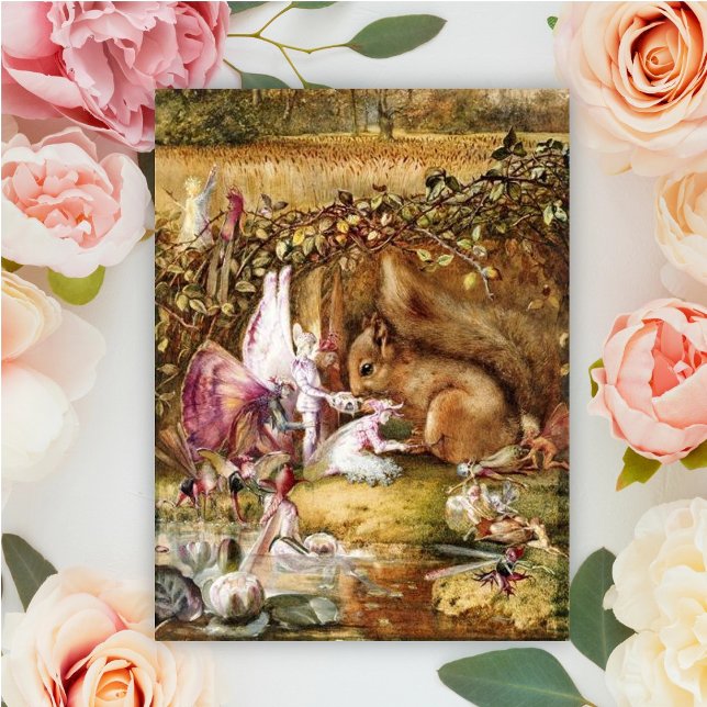 John Anster Fitzgerald - Det sårade ekorret Vykort (Skapare uppladdad)