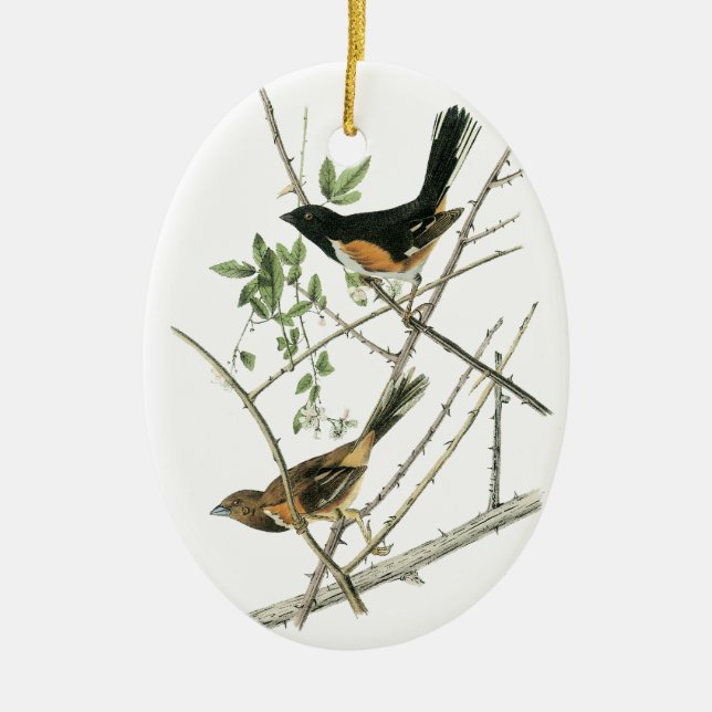 John Audubon Rufous-sid towheen Julgransprydnad Keramik (Framsidan)