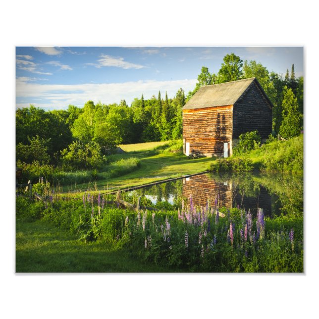John Brown Farm i Adirondacks, N.Y. Fototryck (Framsidan)