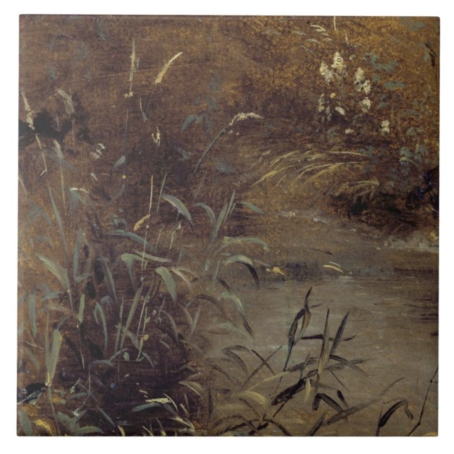 John Constable | Ruskar från Bassäng, c.1821 (olja Kakelplatta (Framsidan)