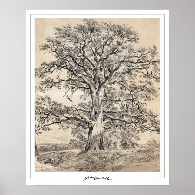 John Constable Zedign Art Poster #545-2 (Framsidan)