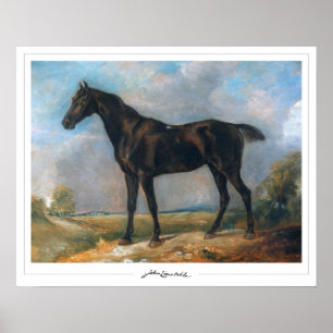 John Constable Zedign konstaffisch #11-2 Poster