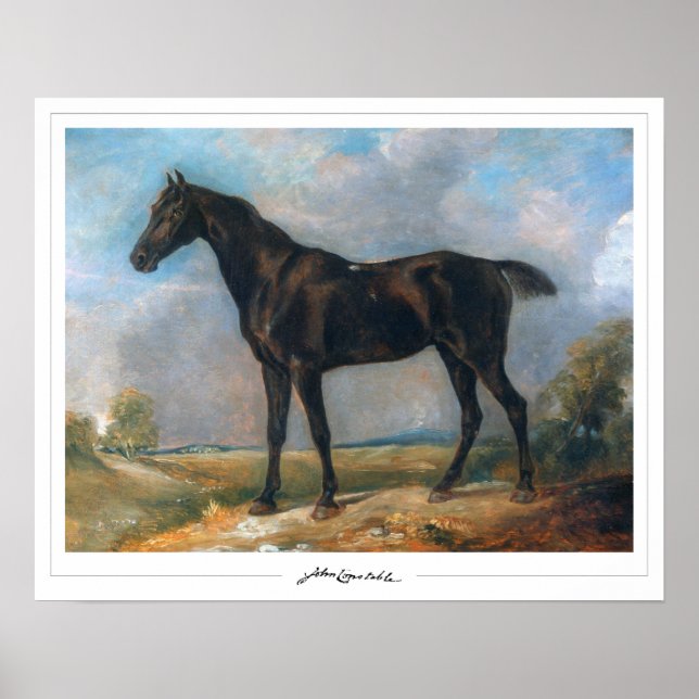 John Constable Zedign konstaffisch #11-2 Poster (Framsidan)