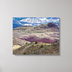 John Day Fossil Beds National Monument, Oregon Canvastryck