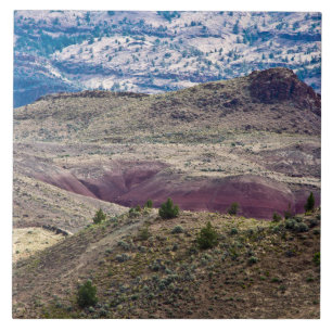 John Day Fossil Beds National Monument, Oregon Kakelplatta