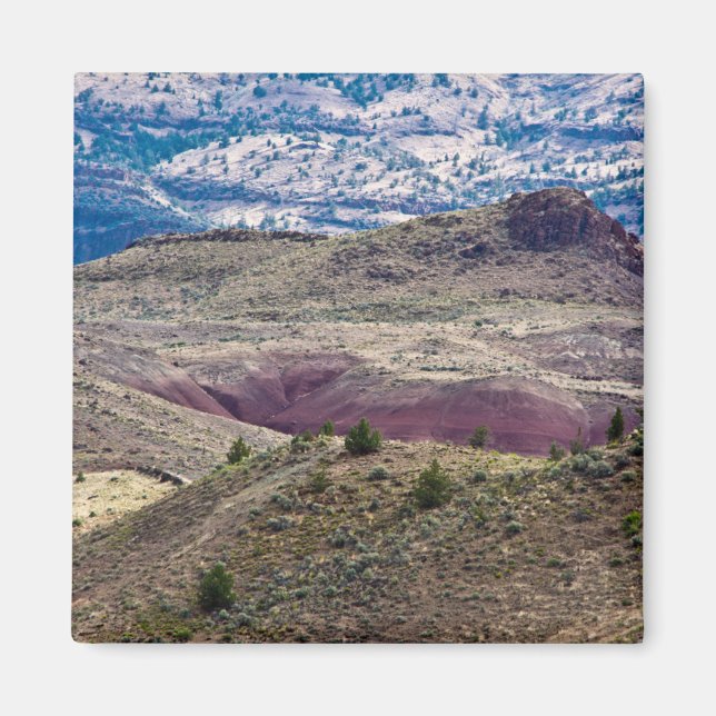 John Day Fossil Beds National Monument, Oregon Magnet (Framsidan)