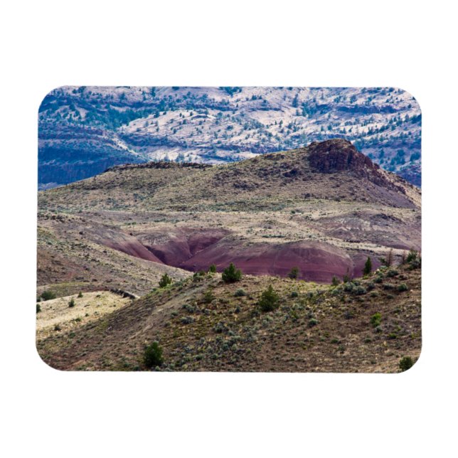 John Day Fossil Beds National Monument, Oregon Magnet (Horisontell)