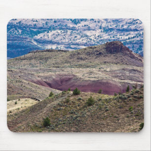 John Day Fossil Beds National Monument, Oregon Musmatta