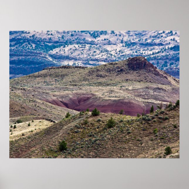 John Day Fossil Beds National Monument, Oregon Poster (Framsidan)