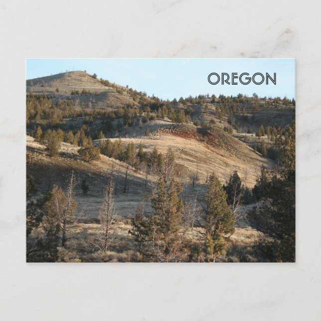 John Day Fossil Beds Vykort (Framsida)