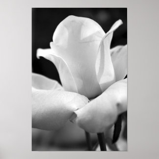 John F. Kennedy Ro Poster