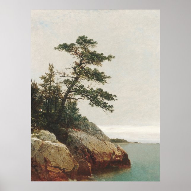 John Frederick Kensett Old Gräs Ligcape Print Poster (Framsidan)