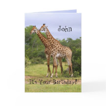 John "Go Vild" Grattis på födelsedagen Giraffes Ca
