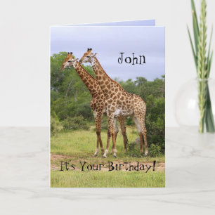 John "Go Vild" Grattis på födelsedagen Giraffes Ca Kort
