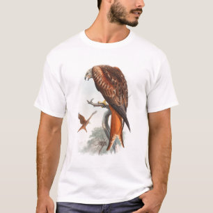 John Gould för drakeGlead hök fåglar av Tee