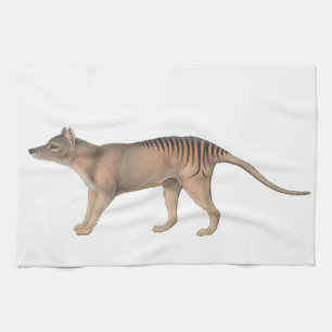 John Gould Tasmanian tiger Thyalcine Kökshandduk
