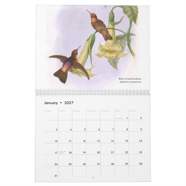 John Goulds Hummingbirds 2015 Kalender (Jan 2027)