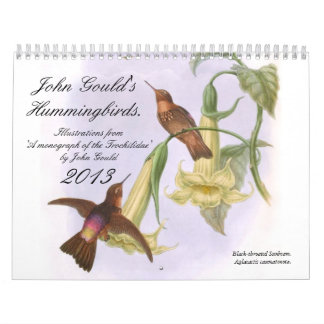 John Goulds Hummingbirds Kalender