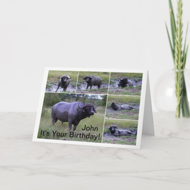 John Grattis på födelsedagen Cape Buffalo Lera Bat Kort (Framsida)