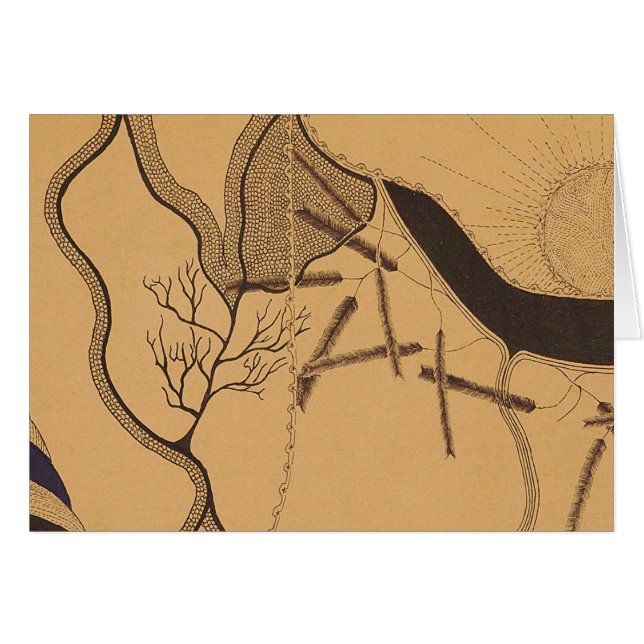 John Haughton kort 5 (Framsidan Horizontal)