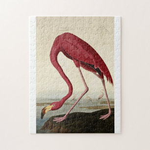 John James Audubon - American Flamingo Pussel