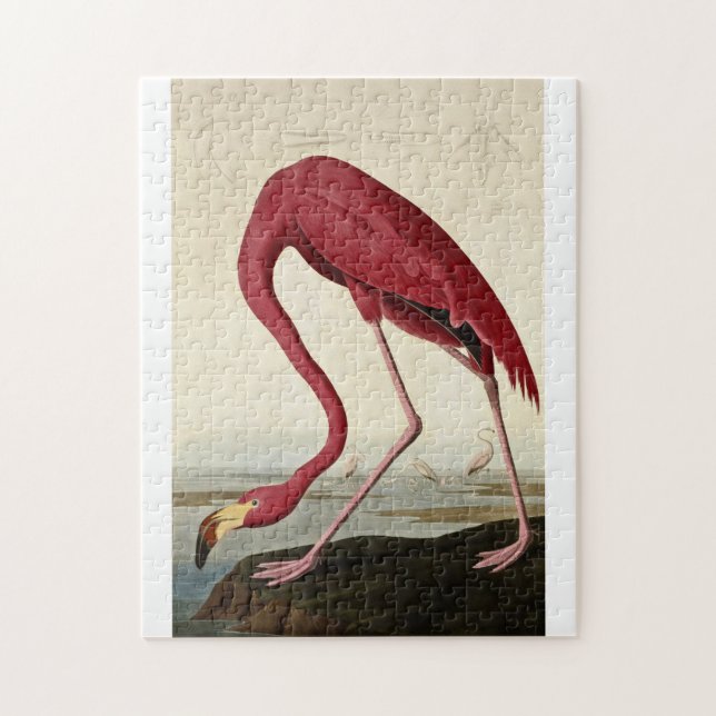 John James Audubon - American Flamingo Pussel (Vertikal)
