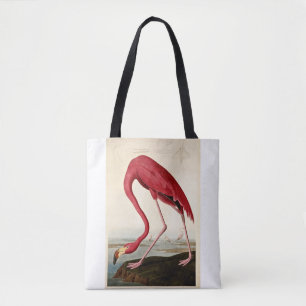 John James Audubon, American Flamingo Tygkasse