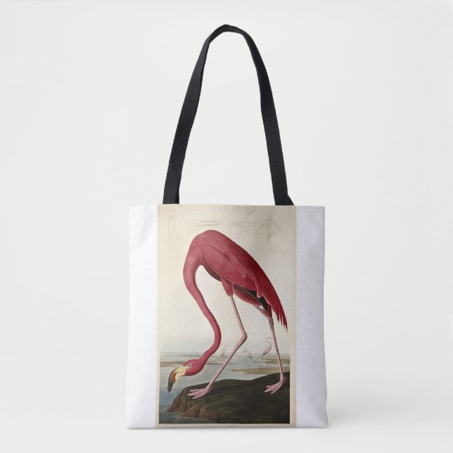 John James Audubon, American Flamingo Tygkasse (Framsida)