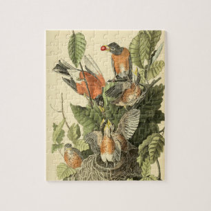 John James Audubon American Robin Painting Gift Pussel