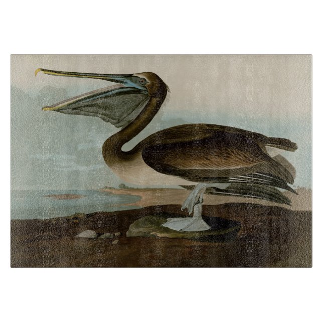 John James Audubon Brown Pelican Artwork Painting (Framsidan)
