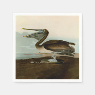 John James Audubon Brown Pelican Artwork Painting Pappersservett